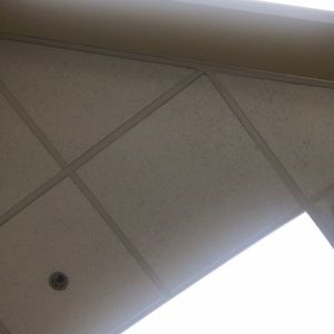 Meet your Posher, Elsa